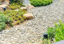 Rock Stone Choices for Modern Landscaping Projects 