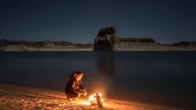 The Long-Term Mental Effects of Living in Survival Mode 